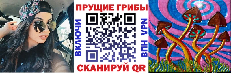 Галлюциногенные грибы Magic Shrooms Самара