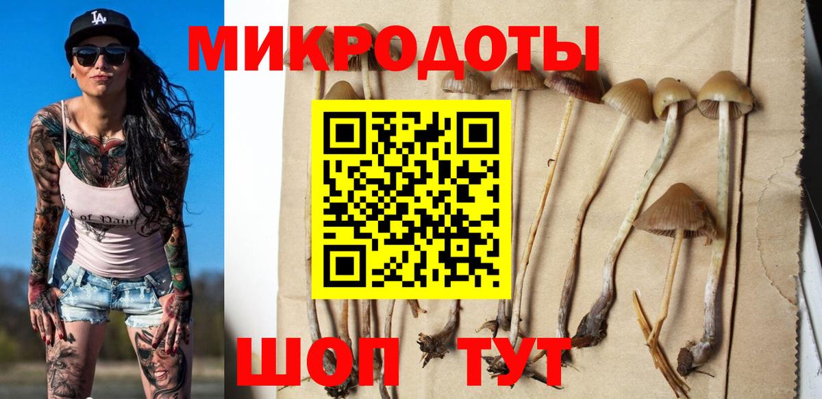 Псилоцибиновые грибы Psilocybine cubensis Самара